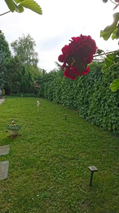 Liliana Vendeghaz Apartment Balatonfuzfo Ngoại thất bức ảnh